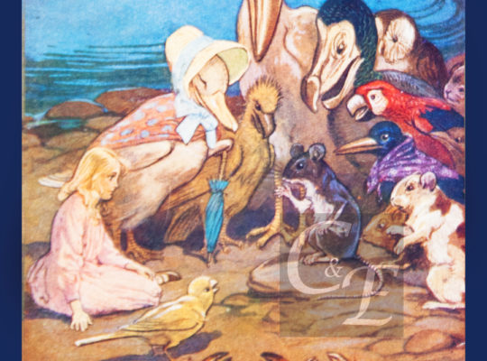Alice in Wonderland Edwardian Illustration Print on Foamex